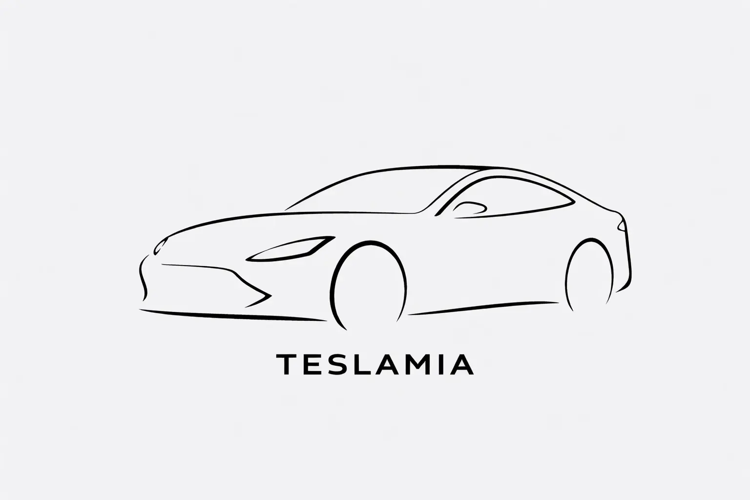 Model S